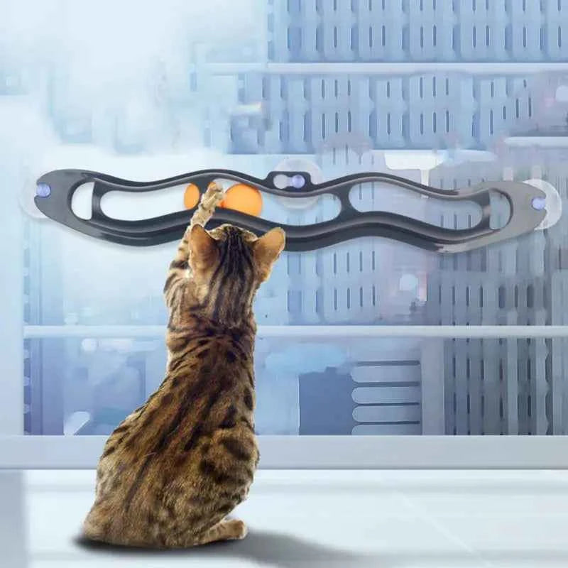 Suction Window Cat Track Ball