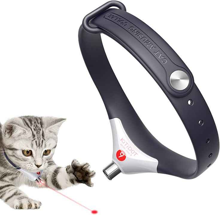 Cat Laser Collar