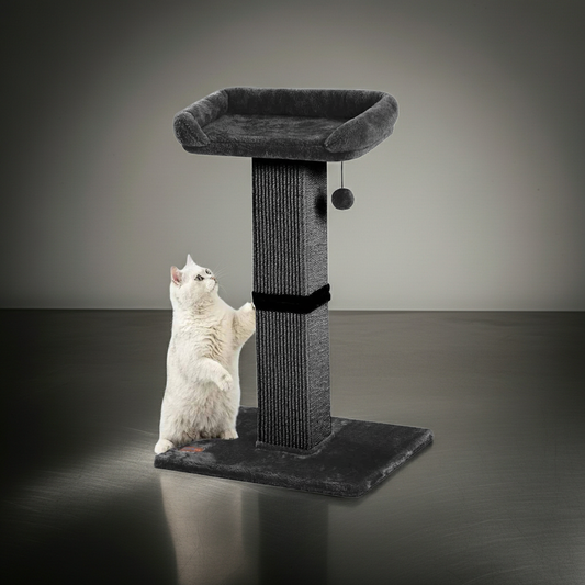 Cat Scratching Post