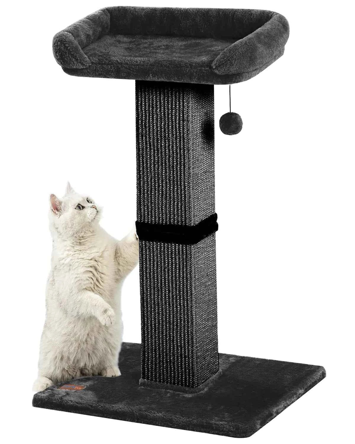 Cat Scratching Post