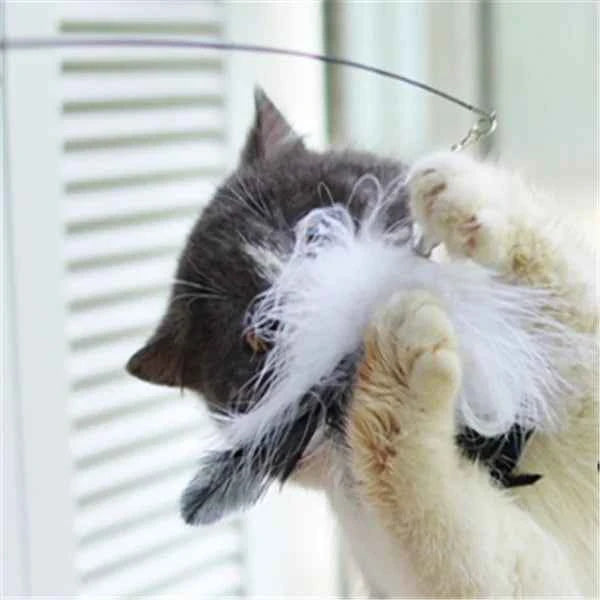 Cat Teaser Wand with Feather Cat Toys and Supplies